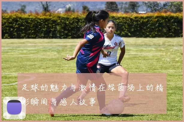 足球的魅力与激情在绿茵场上的精彩瞬间与感人故事