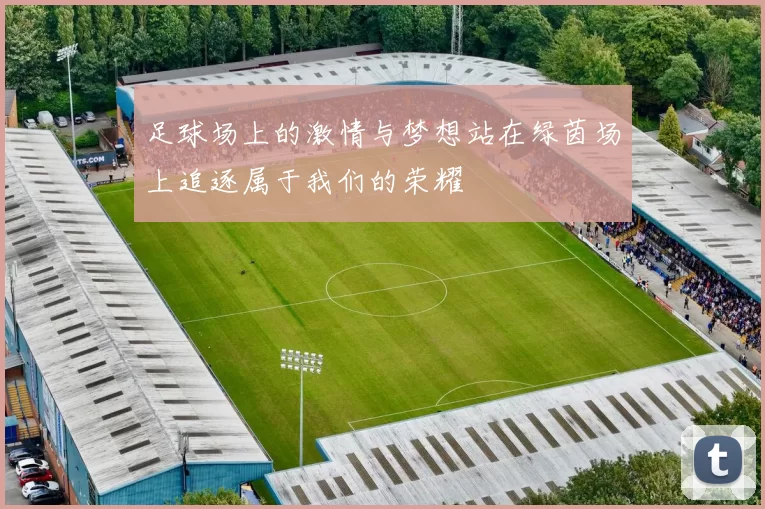 足球场上的激情与梦想站在绿茵场上追逐属于我们的荣耀