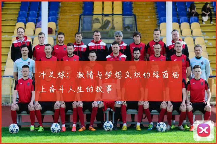 冲足球：激情与梦想交织的绿茵场上奋斗人生的故事