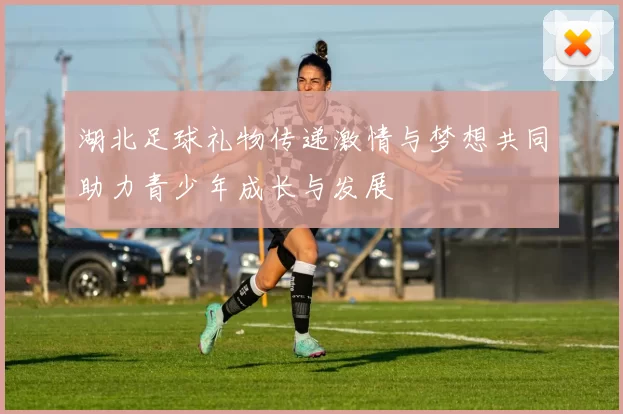 湖北足球礼物传递激情与梦想共同助力青少年成长与发展
